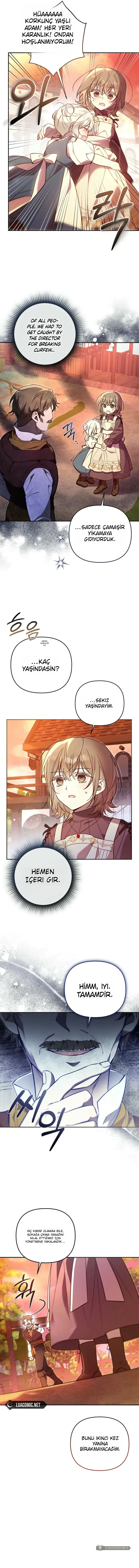 Chapter 5 - Image 3