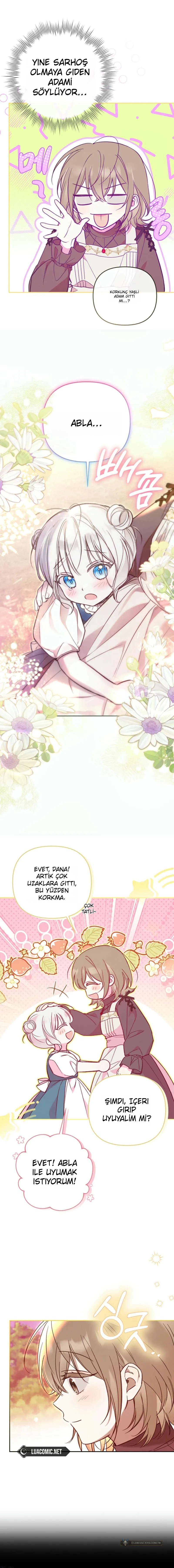 Chapter 5 - Image 4