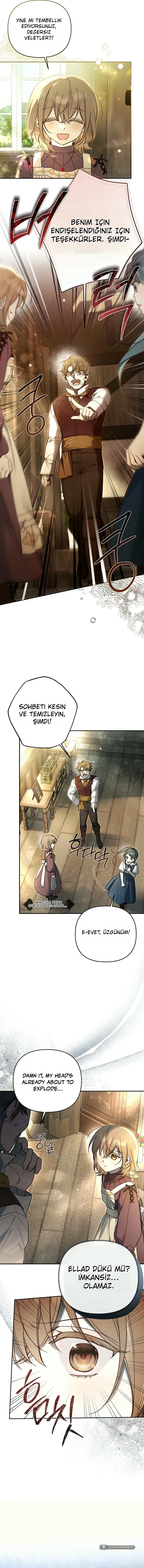 Chapter 6 - Image 5