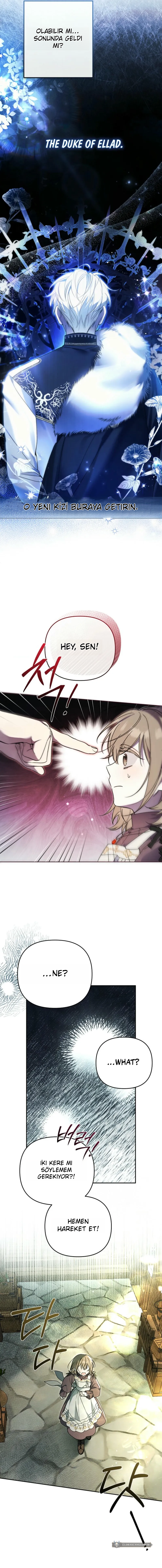 Chapter 6 - Image 6