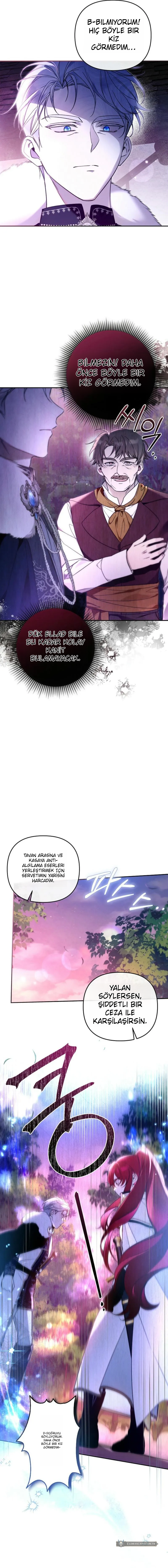 Chapter 7 - Image 6