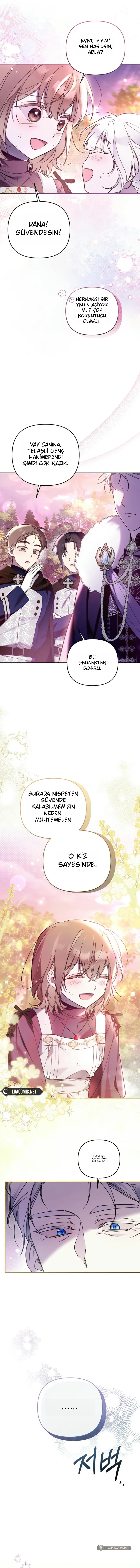 Chapter 8 - Image 3