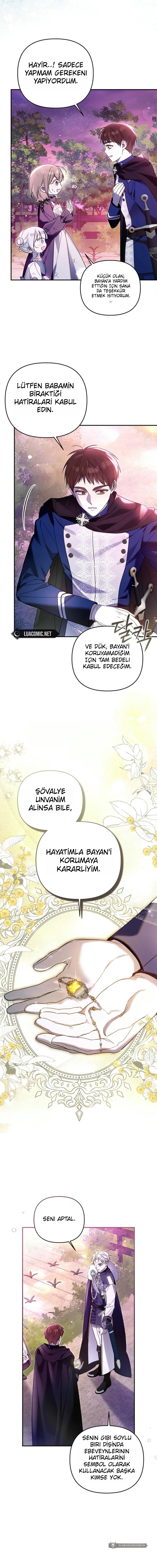 Chapter 8 - Image 9