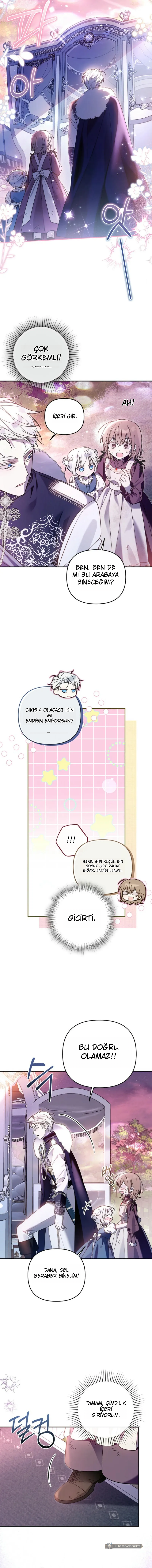 Chapter 8 - Image 11