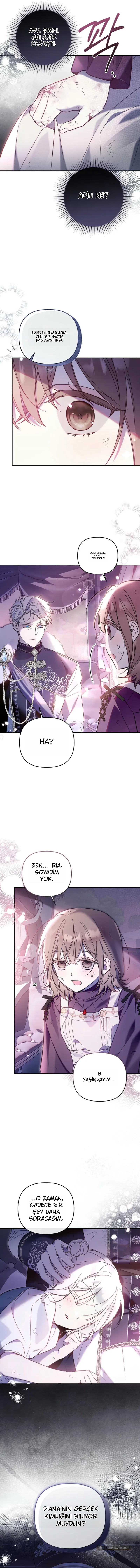 Chapter 8 - Image 13
