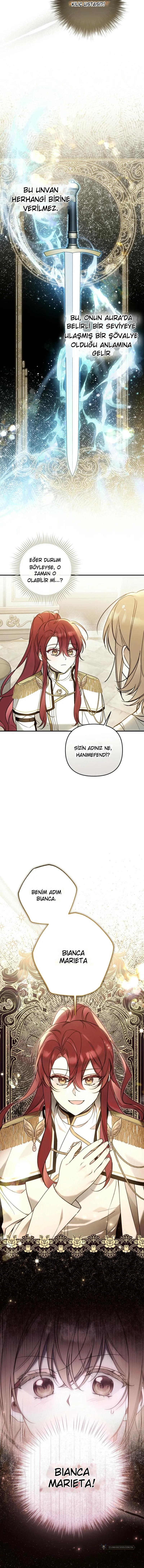 Chapter 9 - Image 12