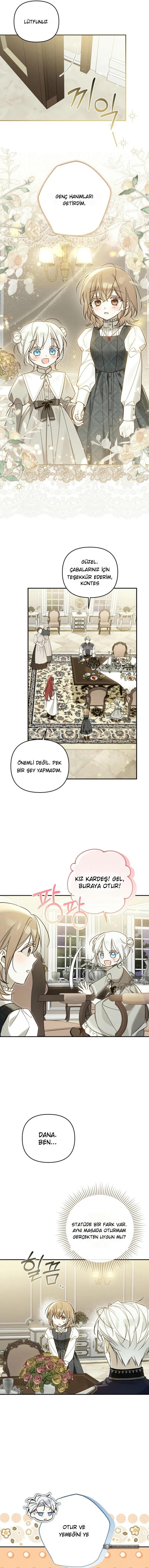 Chapter 9 - Image 15