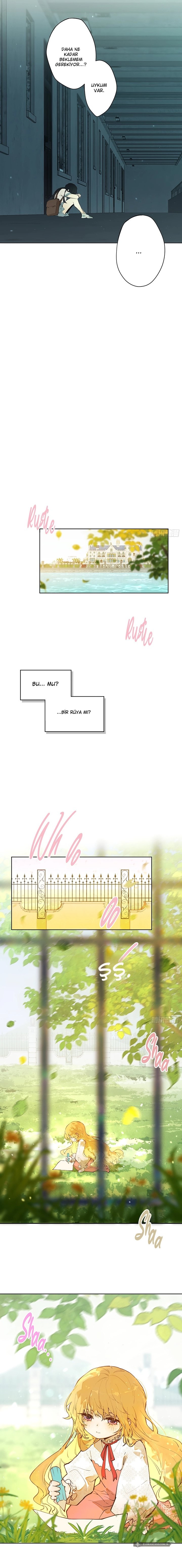 Chapter 1 - Image 3