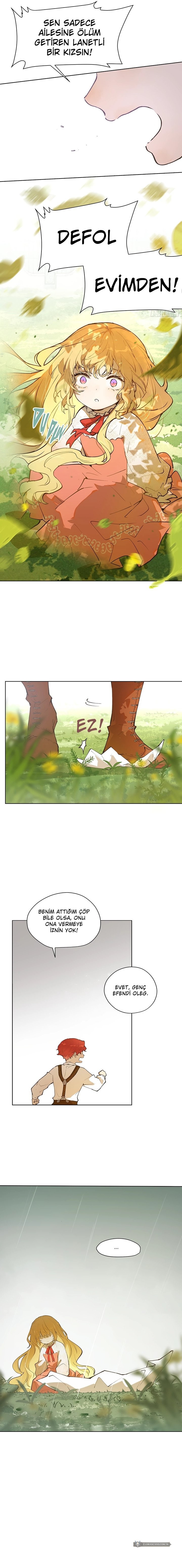 Chapter 1 - Image 5
