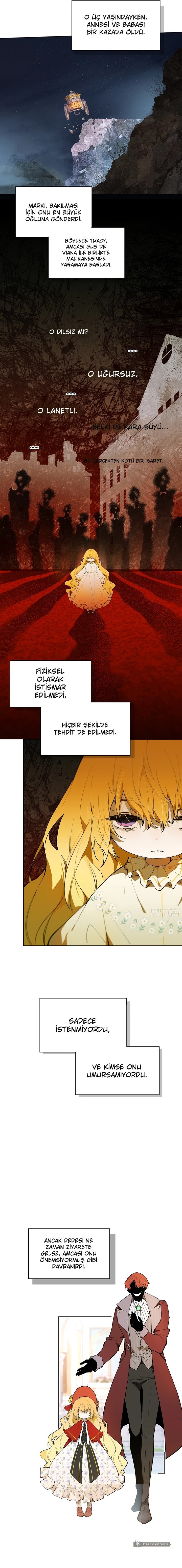Chapter 1 - Image 7