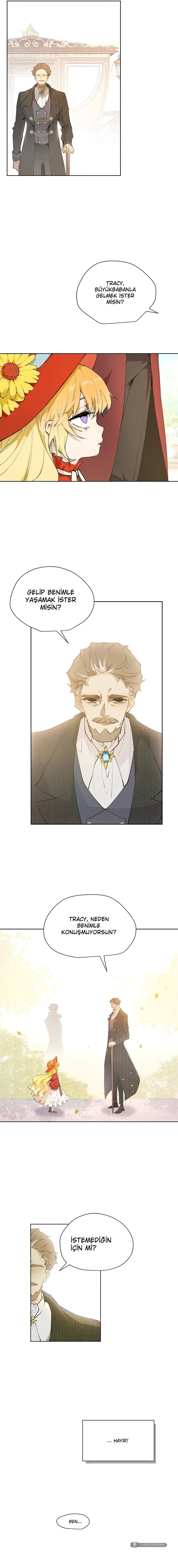 Chapter 1 - Image 8