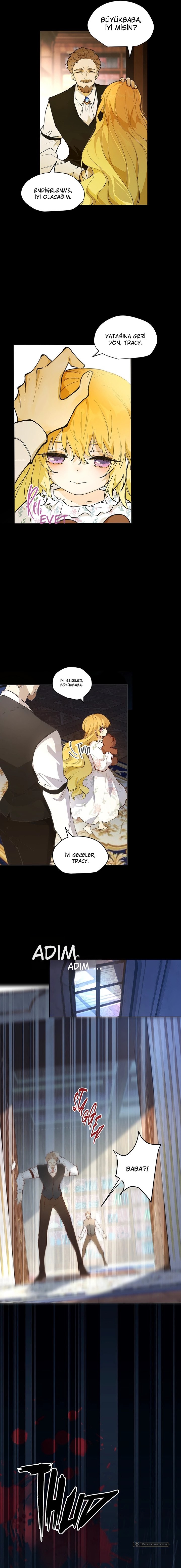 Chapter 1 - Image 12