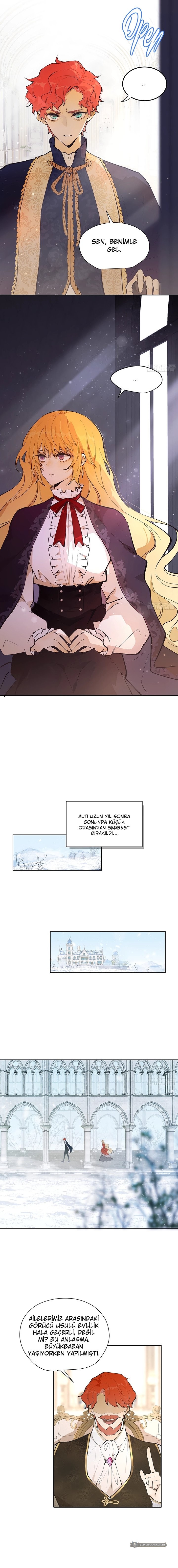 Chapter 1 - Image 15
