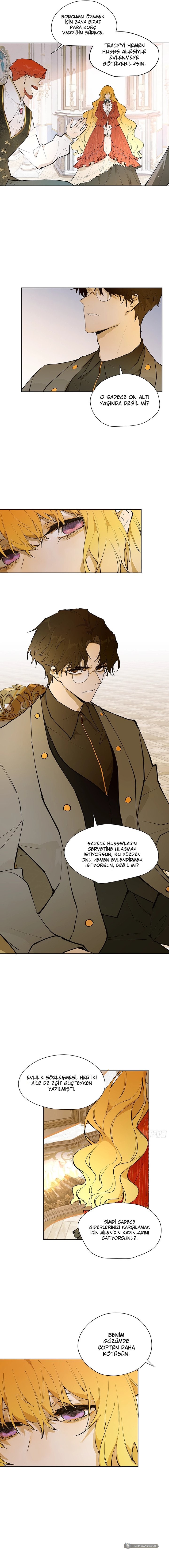 Chapter 1 - Image 16
