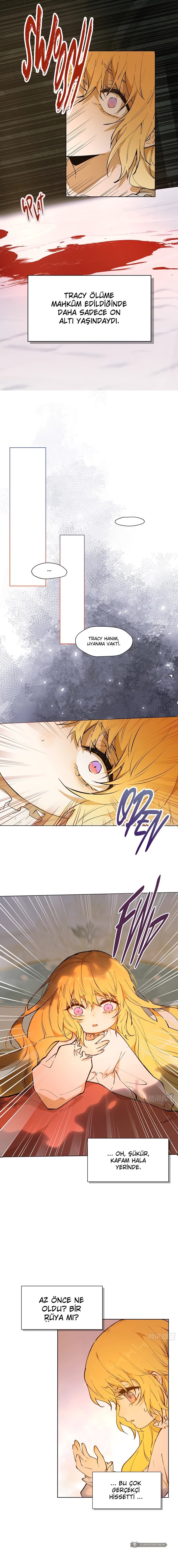 Chapter 1 - Image 19