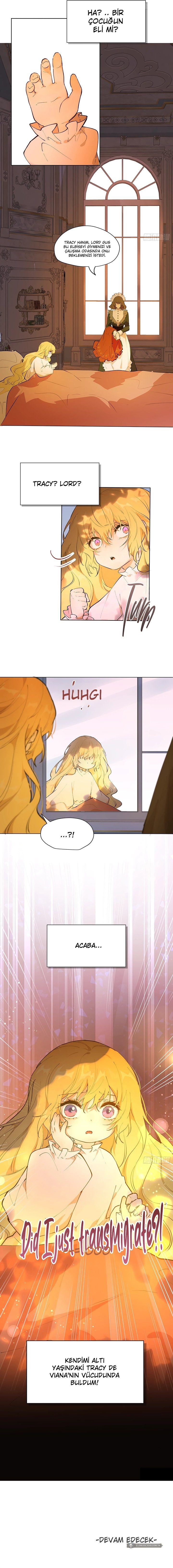 Chapter 1 - Image 20