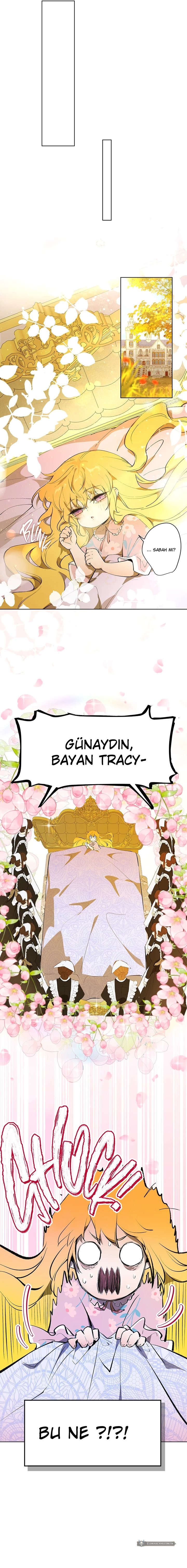 Chapter 10 - Image 11
