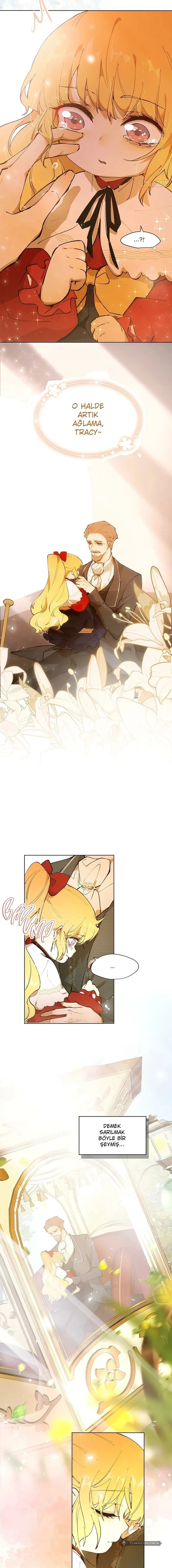 Chapter 4 - Image 5