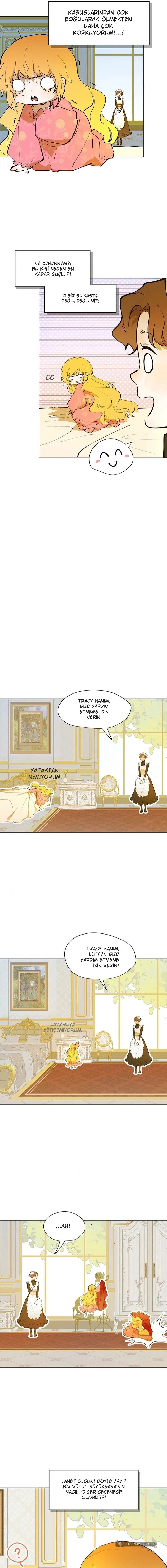 Chapter 4 - Image 11