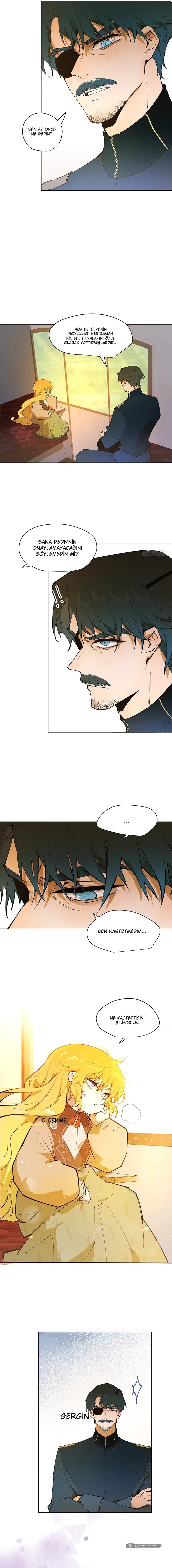 Chapter 5 - Image 4