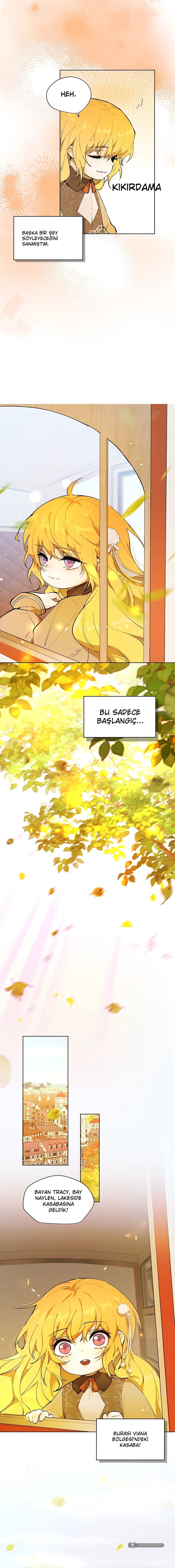 Chapter 5 - Image 10