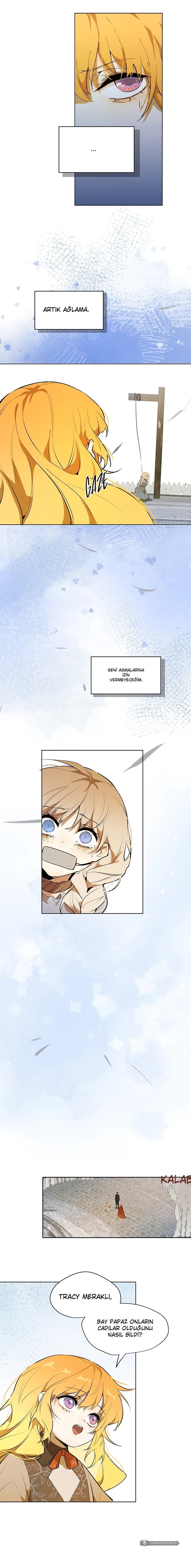 Chapter 7 - Image 5