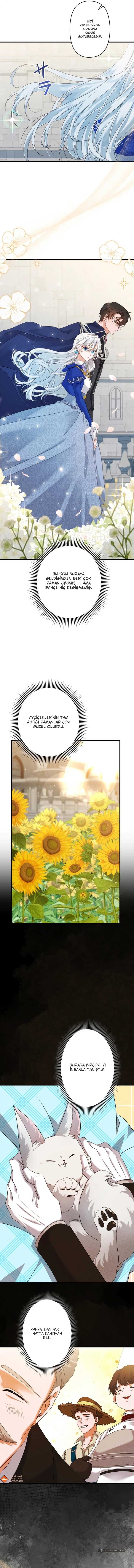 Chapter 10 - Image 13