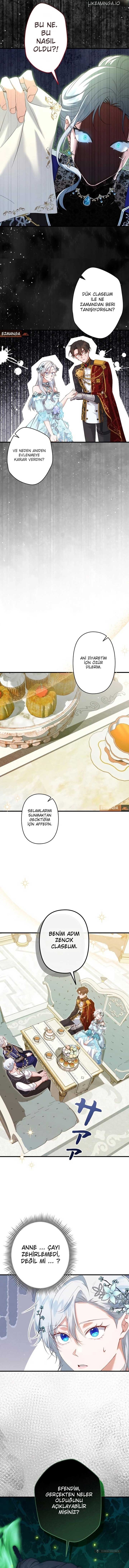 Chapter 6 - Image 11