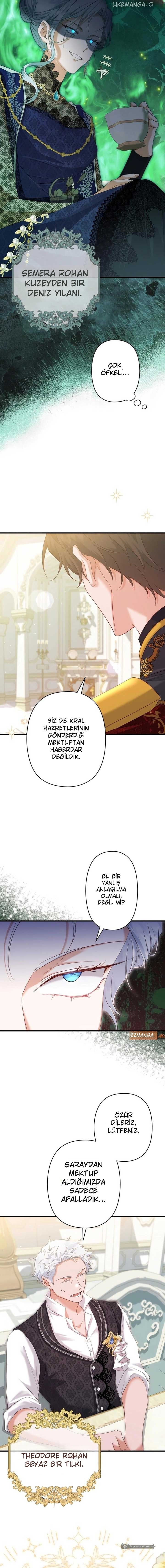 Chapter 6 - Image 12