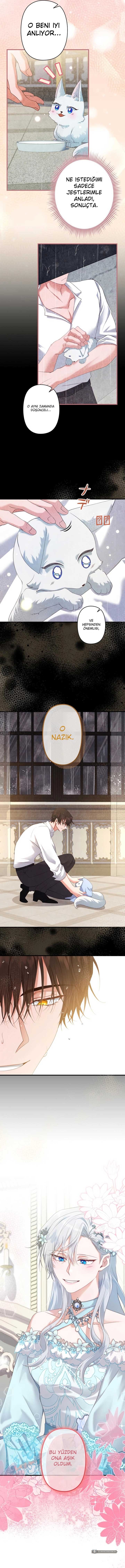Chapter 7 - Image 2