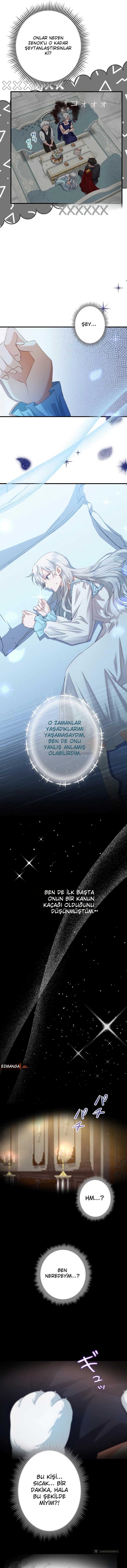 Chapter 7 - Image 4