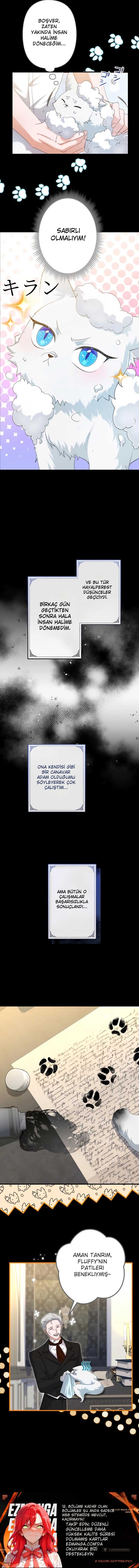 Chapter 7 - Image 6