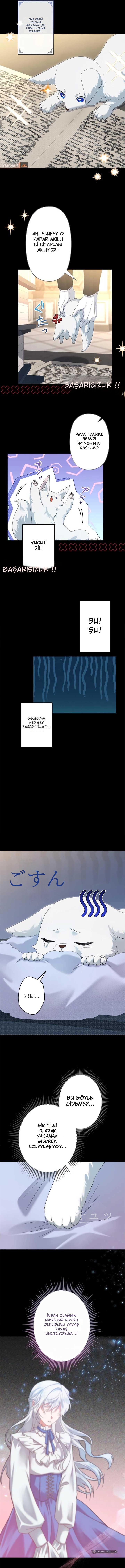 Chapter 7 - Image 7