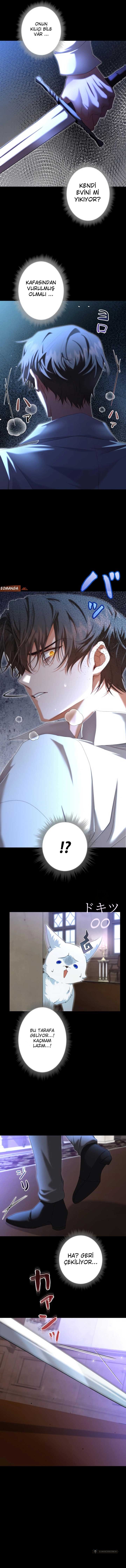 Chapter 7 - Image 9