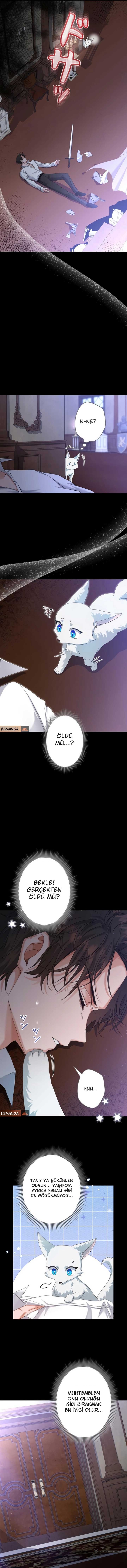 Chapter 7 - Image 10