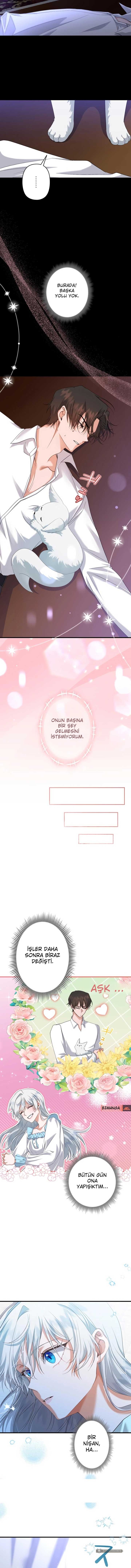 Chapter 7 - Image 11