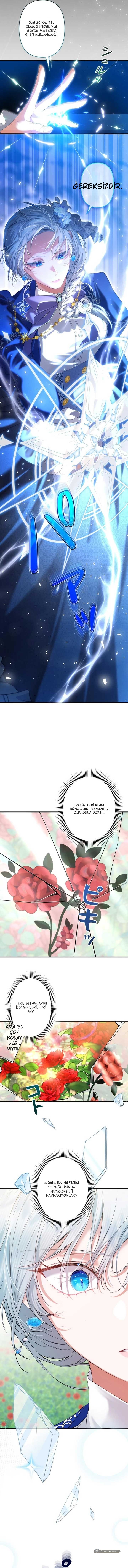 Chapter 9 - Image 5