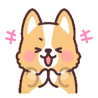 Corgi 2