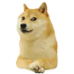 Sticker meme-3