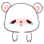 Milk & Mocha Bear