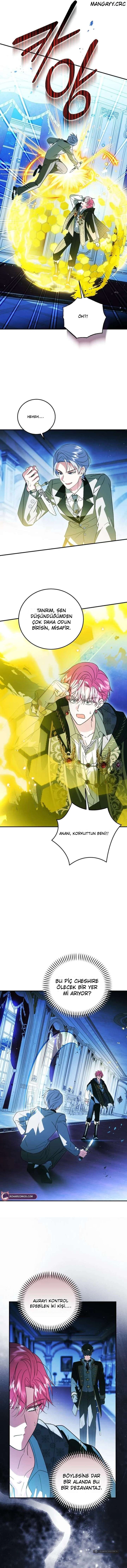 Chapter 40 - Image 5