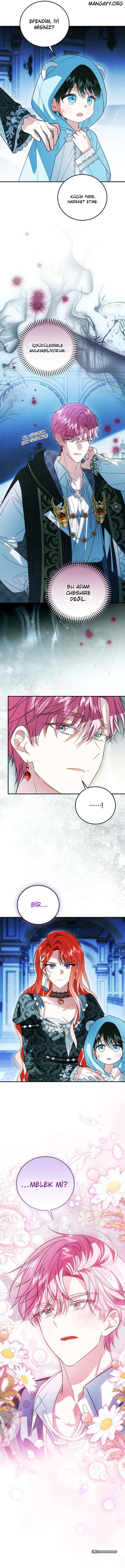 Chapter 40 - Image 15